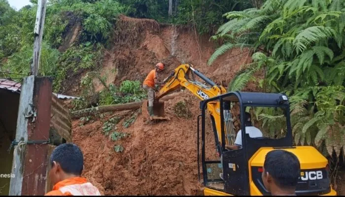Dua Pohon Tumbang Buat Longsor di Lubuk Minturun Padang